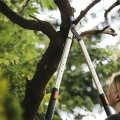 SmartFit™ Teleskopik Dal Kesme Makası L86